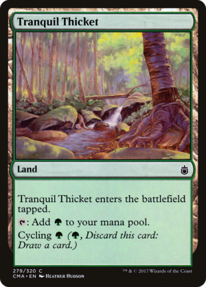 Tranquil Thicket