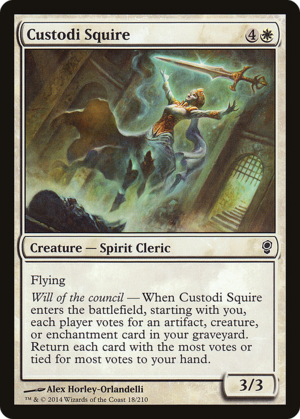Custodi Squire