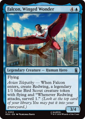 Falcon, Winged Wonder