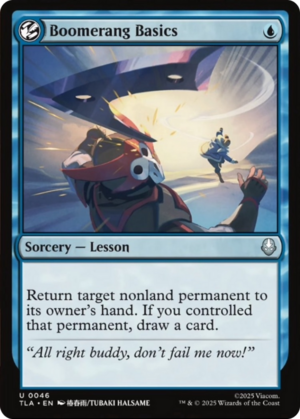 Boomerang Basics