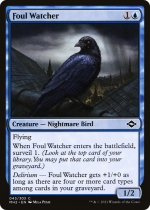 Foul Watcher