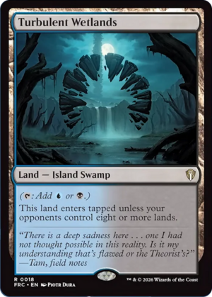 Turbulent Wetlands