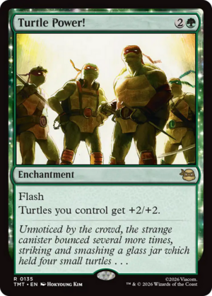 Turtle Power!