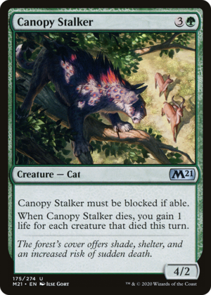 Canopy Stalker